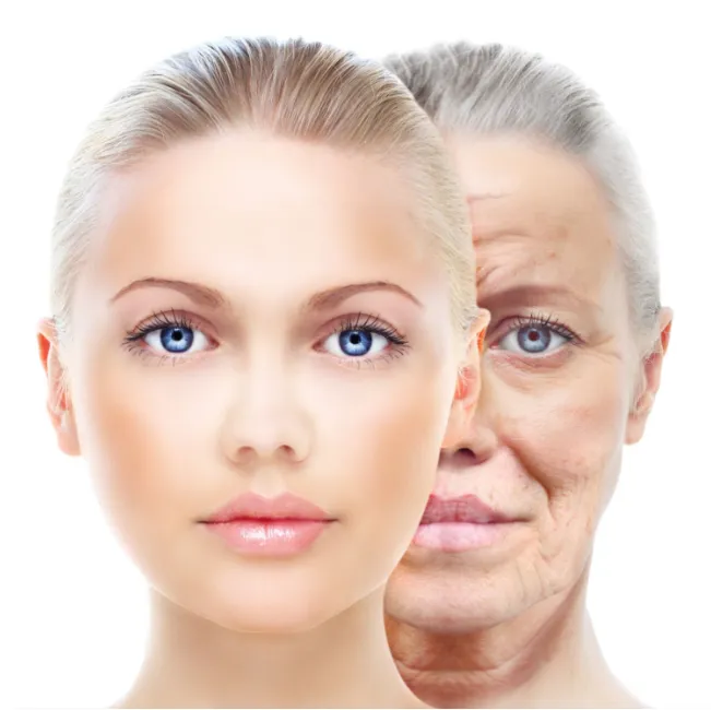 3D-Facelift
