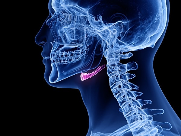 X-ray side profile of a human head and neck highlighting the hyoid bone in pink.